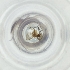  ( - MOZZ00000907A_B1)  @11 [ ] by  Genome Research Ltd as Wellcome Sanger Institute Genome Research Limited operating as Wellcome Sanger Institute