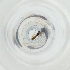  ( - MOZZ00000907A_G5)  @11 [ ] by  Genome Research Ltd as Wellcome Sanger Institute Genome Research Limited operating as Wellcome Sanger Institute