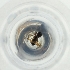 ( - MOZZ00000959A_E5)  @11 [ ] by  Genome Research Ltd as Wellcome Sanger Institute Genome Research Limited operating as Wellcome Sanger Institute