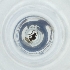  ( - MOZZ00000960A_G3)  @11 [ ] by  Genome Research Ltd as Wellcome Sanger Institute Genome Research Limited operating as Wellcome Sanger Institute