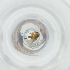  ( - MOZZ00000961A_B1)  @11 [ ] by  Genome Research Ltd as Wellcome Sanger Institute Genome Research Limited operating as Wellcome Sanger Institute
