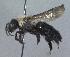  ( - Bee191)  @11 [ ] Copyright (2010) Unspecified Unspecified