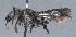  ( - Bee17-2)  @13 [ ] Copyright (2010) Unspecified Unspecified