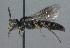  ( - Bee5-2)  @11 [ ] Copyright (2010) Unspecified Unspecified
