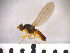  ( - SMTP010)  @13 [ ] CreativeCommons - Attribution Non-Commercial Share-Alike (2015) Unspecified University of Oslo