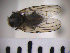  ( - SMTP058)  @11 [ ] CreativeCommons - Attribution Non-Commercial Share-Alike (2015) Unspecified University of Oslo
