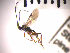  ( - SMTP128)  @11 [ ] CreativeCommons - Attribution Non-Commercial Share-Alike (2015) Unspecified University of Oslo