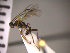  ( - SMTP143)  @12 [ ] CreativeCommons - Attribution Non-Commercial Share-Alike (2015) Unspecified University of Oslo