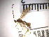  ( - SMTP187)  @12 [ ] CreativeCommons - Attribution Non-Commercial Share-Alike (2015) Unspecified University of Oslo