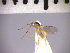  ( - SMTP260)  @11 [ ] CreativeCommons - Attribution Non-Commercial Share-Alike (2015) Unspecified University of Oslo