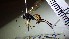  (Exetastes geniculosus - SMTP312)  @11 [ ] CreativeCommons - Attribution Non-Commercial Share-Alike (2015) Unspecified University of Oslo