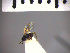  ( - SMTP476)  @11 [ ] CreativeCommons - Attribution Non-Commercial Share-Alike (2015) Unspecified University of Oslo