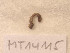  ( - MT14115)  @11 [ ] Unspecified (default): All Rights Reserved (2018) Pedro Martinez DZMB, Senckenberg am Meer