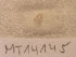  ( - MT14145)  @11 [ ] Unspecified (default): All Rights Reserved (2018) Pedro Martinez DZMB, Senckenberg am Meer
