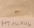  ( - MT14146)  @11 [ ] Unspecified (default): All Rights Reserved (2018) Pedro Martinez DZMB, Senckenberg am Meer