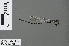  ( - RMNH.INS.502758)  @12 [ ] CreativeCommons - Attribution Non-Commercial Share-Alike (2013) Unspecified Naturalis Biodiversity Center