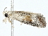  ( - BIOUG98671-E04)  @11 [ ] CreativeCommons - Attribution (2023) CBG Photography Group Centre for Biodiversity Genomics