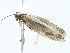  ( - BIOUG98671-H09)  @11 [ ] CreativeCommons - Attribution (2023) CBG Photography Group Centre for Biodiversity Genomics