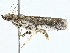  ( - BIOUG98672-B05)  @11 [ ] CreativeCommons - Attribution (2023) CBG Photography Group Centre for Biodiversity Genomics