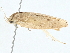  ( - BIOUG98672-D05)  @11 [ ] CreativeCommons - Attribution (2023) CBG Photography Group Centre for Biodiversity Genomics