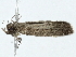  ( - BIOUG98672-F12)  @11 [ ] CreativeCommons - Attribution (2023) CBG Photography Group Centre for Biodiversity Genomics