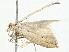  ( - BIOUG98673-A02)  @11 [ ] CreativeCommons - Attribution (2023) CBG Photography Group Centre for Biodiversity Genomics