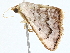  ( - BIOUG98673-B05)  @11 [ ] CreativeCommons - Attribution (2023) CBG Photography Group Centre for Biodiversity Genomics