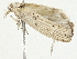  ( - BIOUG98673-D01)  @11 [ ] CreativeCommons - Attribution (2023) CBG Photography Group Centre for Biodiversity Genomics