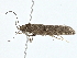  ( - BIOUG98674-B04)  @11 [ ] CreativeCommons - Attribution (2023) CBG Photography Group Centre for Biodiversity Genomics