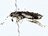  ( - BIOUG98674-B09)  @11 [ ] CreativeCommons - Attribution (2023) CBG Photography Group Centre for Biodiversity Genomics