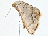  ( - BIOUG98674-E03)  @11 [ ] CreativeCommons - Attribution (2023) CBG Photography Group Centre for Biodiversity Genomics