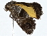  ( - BIOUG98674-F07)  @11 [ ] CreativeCommons - Attribution (2023) CBG Photography Group Centre for Biodiversity Genomics