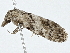  ( - BIOUG98674-F12)  @11 [ ] CreativeCommons - Attribution (2023) CBG Photography Group Centre for Biodiversity Genomics