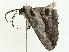  ( - BIOUG98675-A02)  @11 [ ] CreativeCommons - Attribution (2023) CBG Photography Group Centre for Biodiversity Genomics