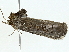  ( - BIOUG98675-A05)  @11 [ ] CreativeCommons - Attribution (2023) CBG Photography Group Centre for Biodiversity Genomics
