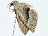  ( - BIOUG98675-C10)  @11 [ ] CreativeCommons - Attribution (2023) CBG Photography Group Centre for Biodiversity Genomics