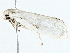  ( - BIOUG98675-G05)  @11 [ ] CreativeCommons - Attribution (2023) CBG Photography Group Centre for Biodiversity Genomics