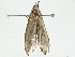  ( - BIOUG98675-H09)  @11 [ ] CreativeCommons - Attribution (2023) CBG Photography Group Centre for Biodiversity Genomics