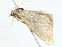  ( - BIOUG98676-A06)  @11 [ ] CreativeCommons - Attribution (2023) CBG Photography Group Centre for Biodiversity Genomics