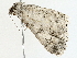  ( - BIOUG98677-D02)  @11 [ ] CreativeCommons - Attribution (2023) CBG Photography Group Centre for Biodiversity Genomics