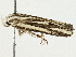  ( - BIOUG98677-F01)  @11 [ ] CreativeCommons - Attribution (2023) CBG Photography Group Centre for Biodiversity Genomics