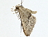  ( - BIOUG98677-F03)  @11 [ ] CreativeCommons - Attribution (2023) CBG Photography Group Centre for Biodiversity Genomics