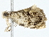 ( - BIOUG98718-F04)  @11 [ ] CreativeCommons - Attribution (2023) CBG Photography Group Centre for Biodiversity Genomics