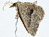  ( - BIOUG98718-F09)  @11 [ ] CreativeCommons - Attribution (2023) CBG Photography Group Centre for Biodiversity Genomics