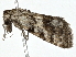  ( - BIOUG98718-H04)  @11 [ ] CreativeCommons - Attribution (2023) CBG Photography Group Centre for Biodiversity Genomics