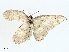  ( - BIOUG98720-E04)  @11 [ ] CreativeCommons - Attribution (2023) CBG Photography Group Centre for Biodiversity Genomics