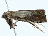 ( - BIOUG99533-B07)  @11 [ ] CreativeCommons - Attribution (2023) CBG Photography Group Centre for Biodiversity Genomics