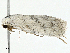  ( - BIOUG99539-C01)  @11 [ ] CreativeCommons - Attribution (2023) CBG Photography Group Centre for Biodiversity Genomics