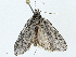  ( - BIOUG99539-D12)  @11 [ ] CreativeCommons - Attribution (2023) CBG Photography Group Centre for Biodiversity Genomics