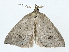  ( - CBG-A00266-A11)  @11 [ ] CreativeCommons - Attribution (2023) CBG Photography Group Centre for Biodiversity Genomics